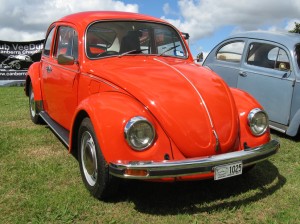 beetle-300x224