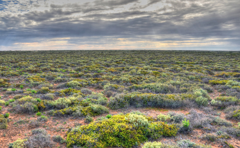 5-nullabor-landscape.jpg